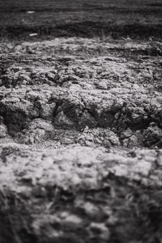 Black and white close-up of plowed soil showcasing texture and pattern.