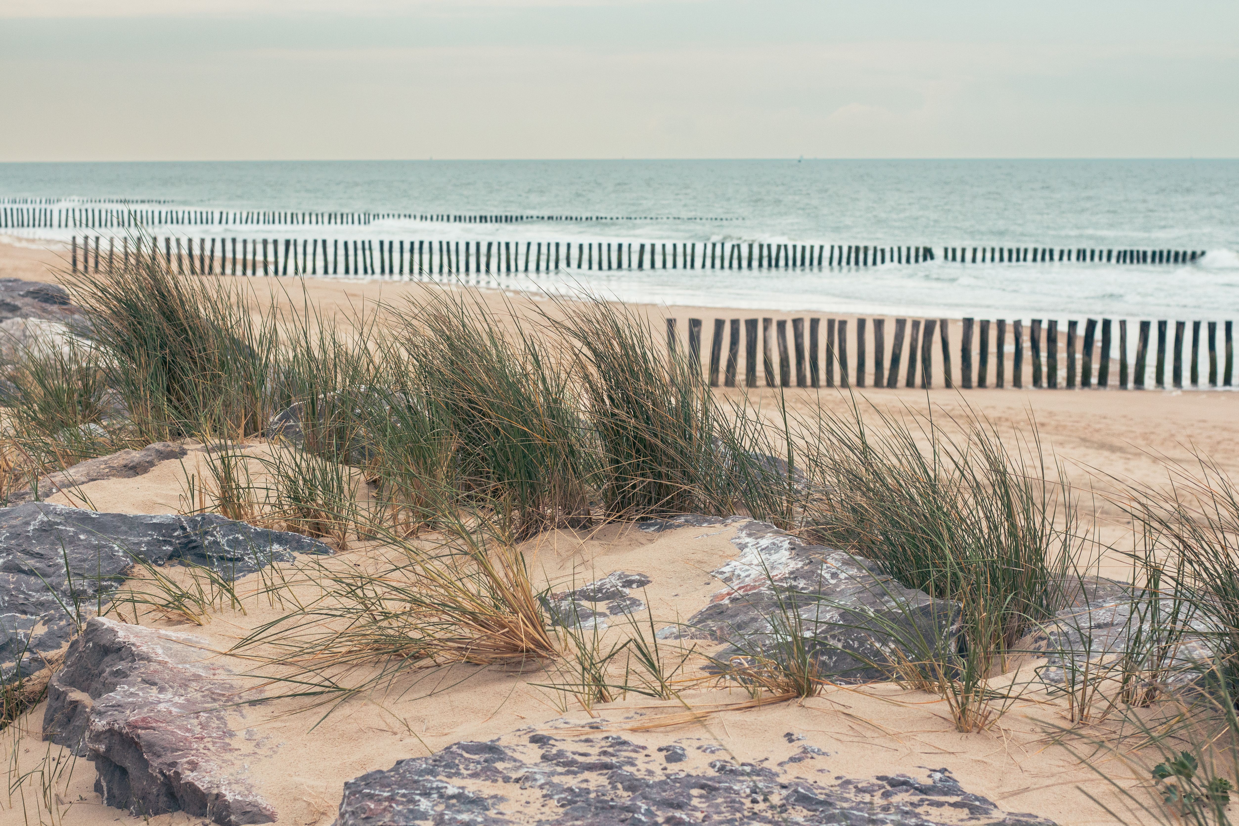 Illustration, parking payant de la dune du pilat