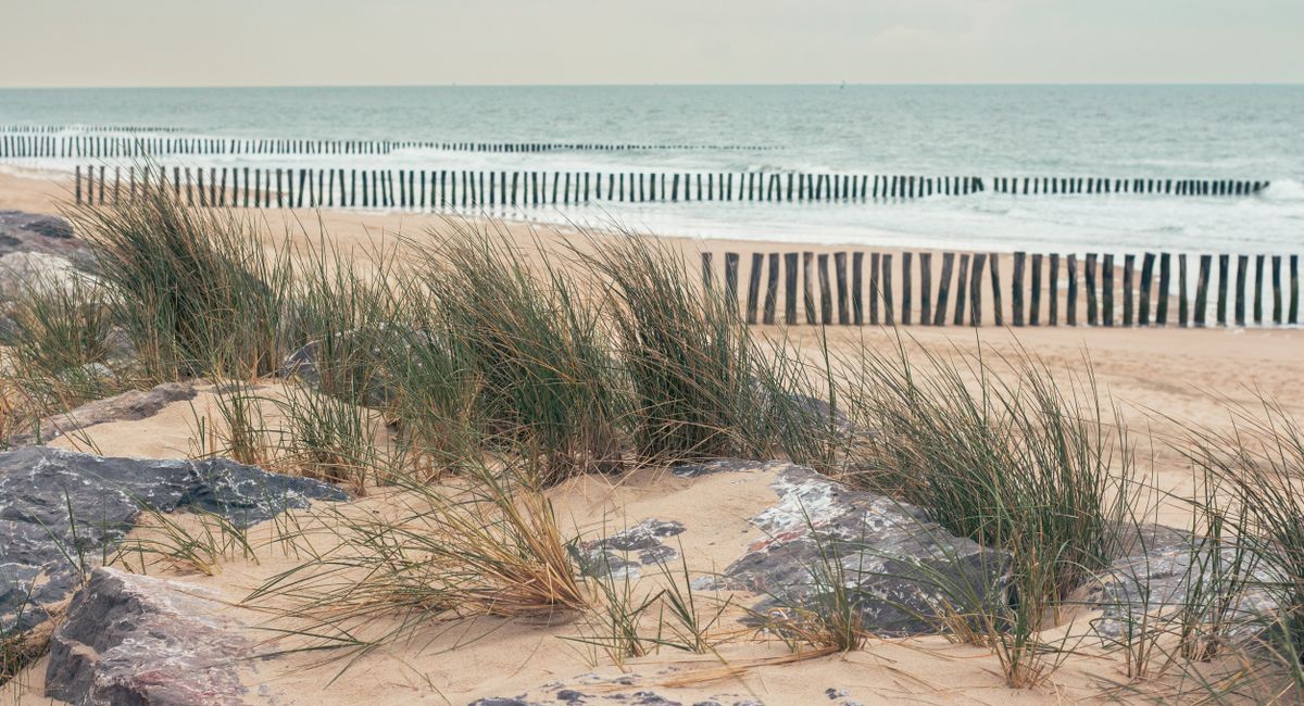 Illustration, parking payant de la dune du pilat