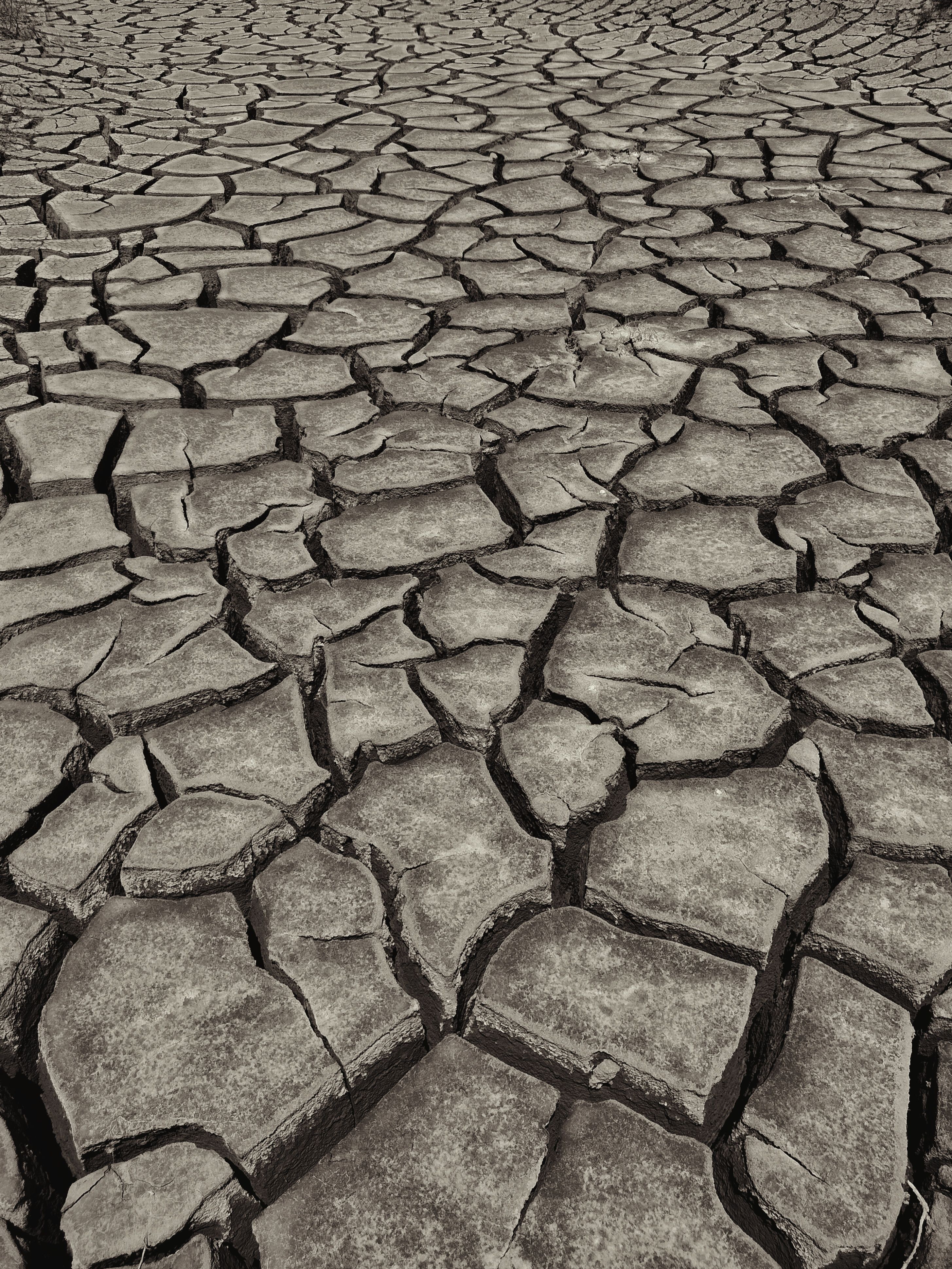 Fotomural Imagen cruda de tierra agrietada y seca que ilustra los duros efectos de la sequía y el cambio climático.