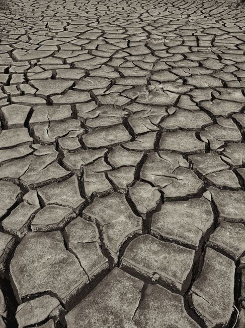 Fotomural Imagen cruda de tierra agrietada y seca que ilustra los duros efectos de la sequía y el cambio climático.