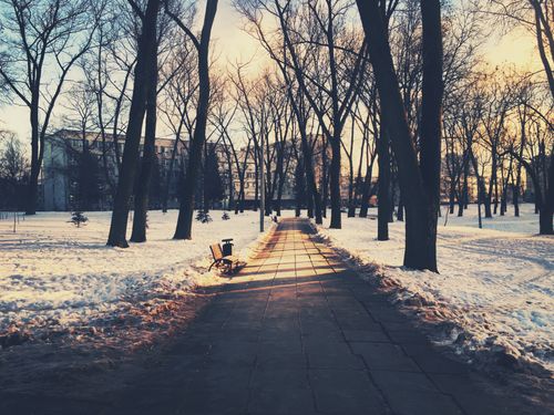 Free A tranquil winter scene with a snow-covered pathway lined by trees at sunset. Stock Photo