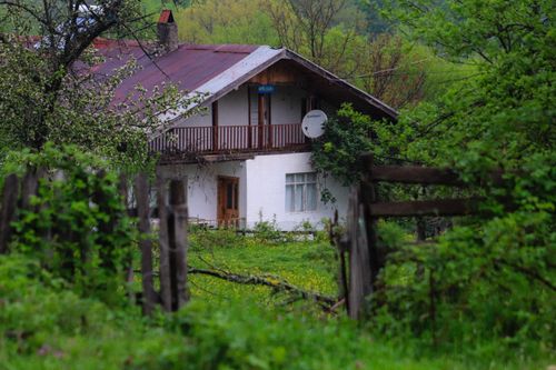 Free A charming rustic house enveloped by lush spring greenery and natural wooden fences. Stock Photo