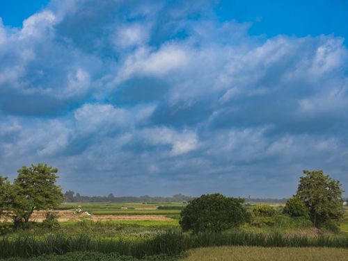 Free Vast rural scene with lush greenery and dramatic clouds in a bright blue sky. Stock Photo