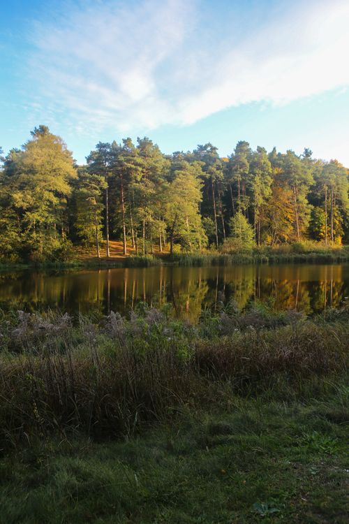Free Peaceful forest and lake reflection with autumn foliage and clear sky. Stock Photo