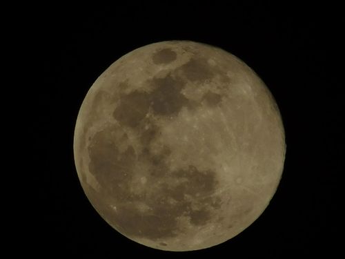 Free Close-up of the full moon showing detailed craters and surface texture. Stock Photo