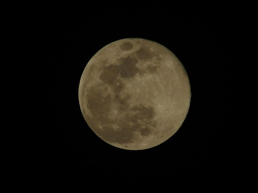 Related image for "タイで9月14日夜、月が金星を隠す珍しい天文現象 各地で肉眼観測可能"