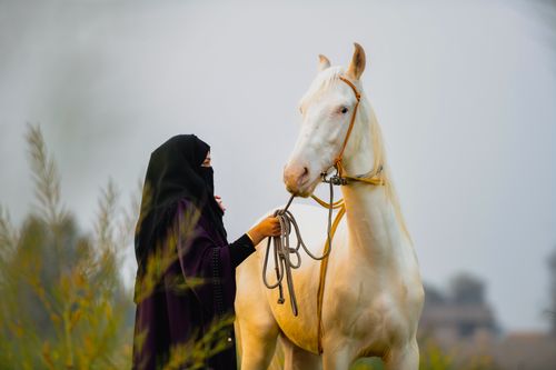 Free A woman in traditional attire stands with a white horse, showcasing rural lifestyle and harmony with nature. Stock Photo