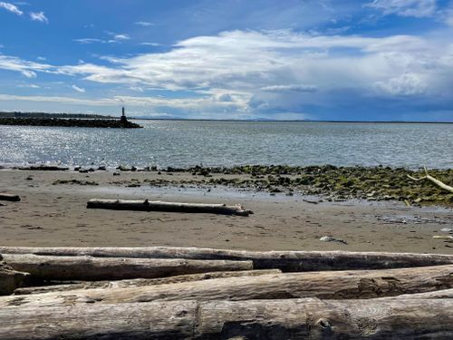 Free Peaceful beach scene with driftwood, calm sea, and a distant lighthouse under a blue sky. Stock Photo