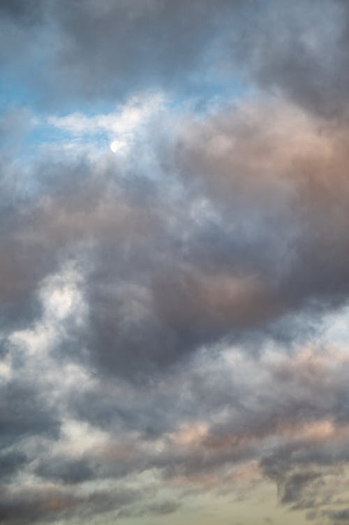 grátis Nuvens Brancas E Céu Azul Foto profissional