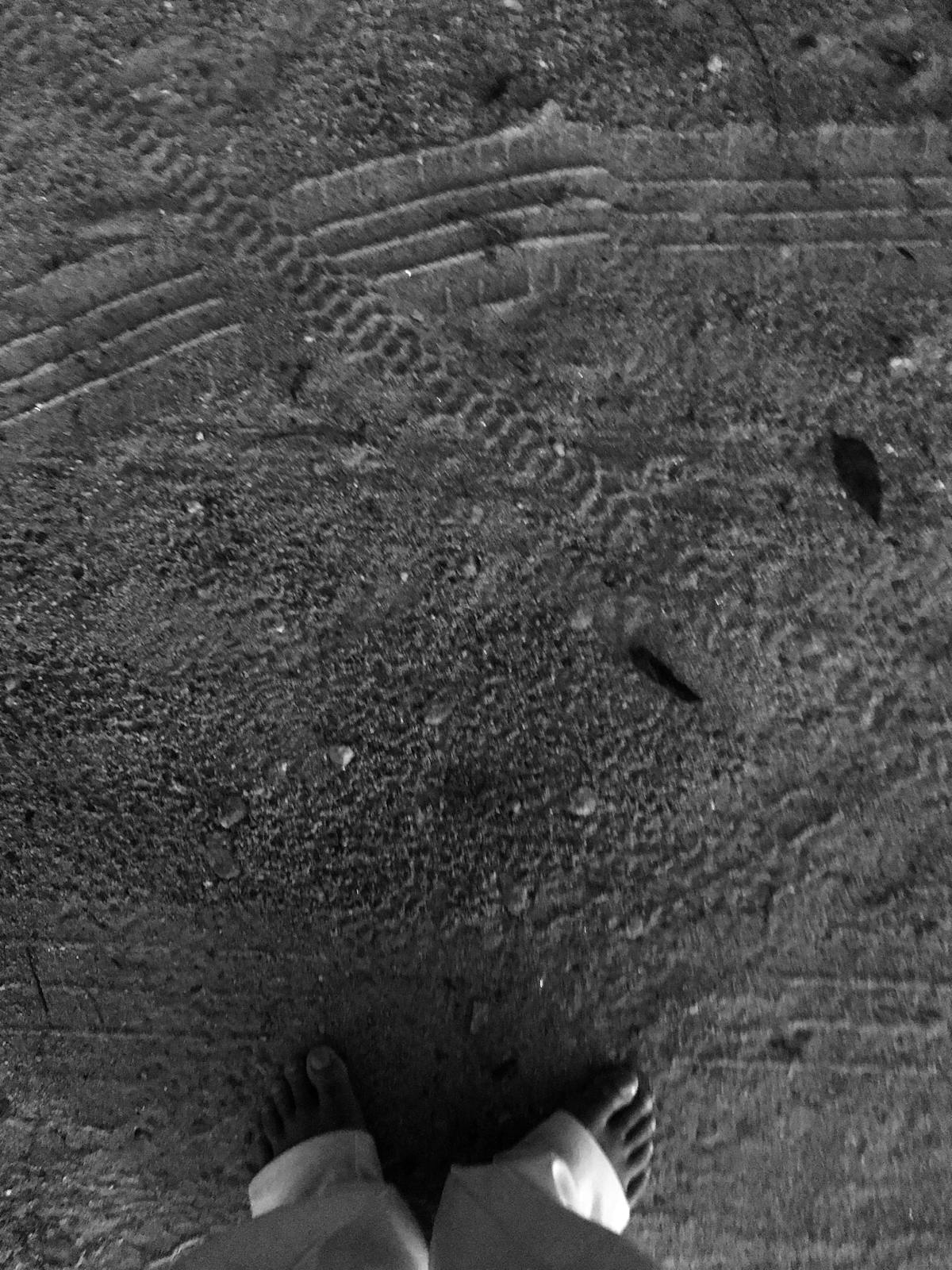 People walking through a garden decorated with holiday lights at night