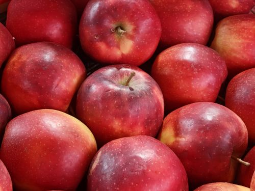 Free A vibrant collection of fresh red apples on display, highlighting their natural shine and appeal. Stock Photo
