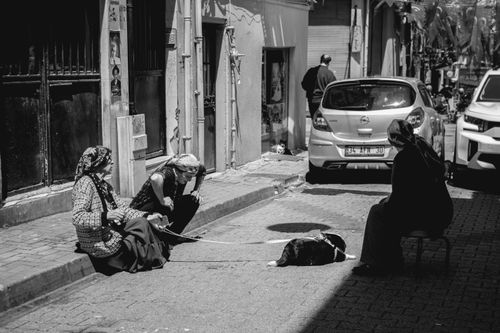 Free A candid shot of people sitting in a narrow street with a dog lying nearby, capturing everyday life. Stock Photo
