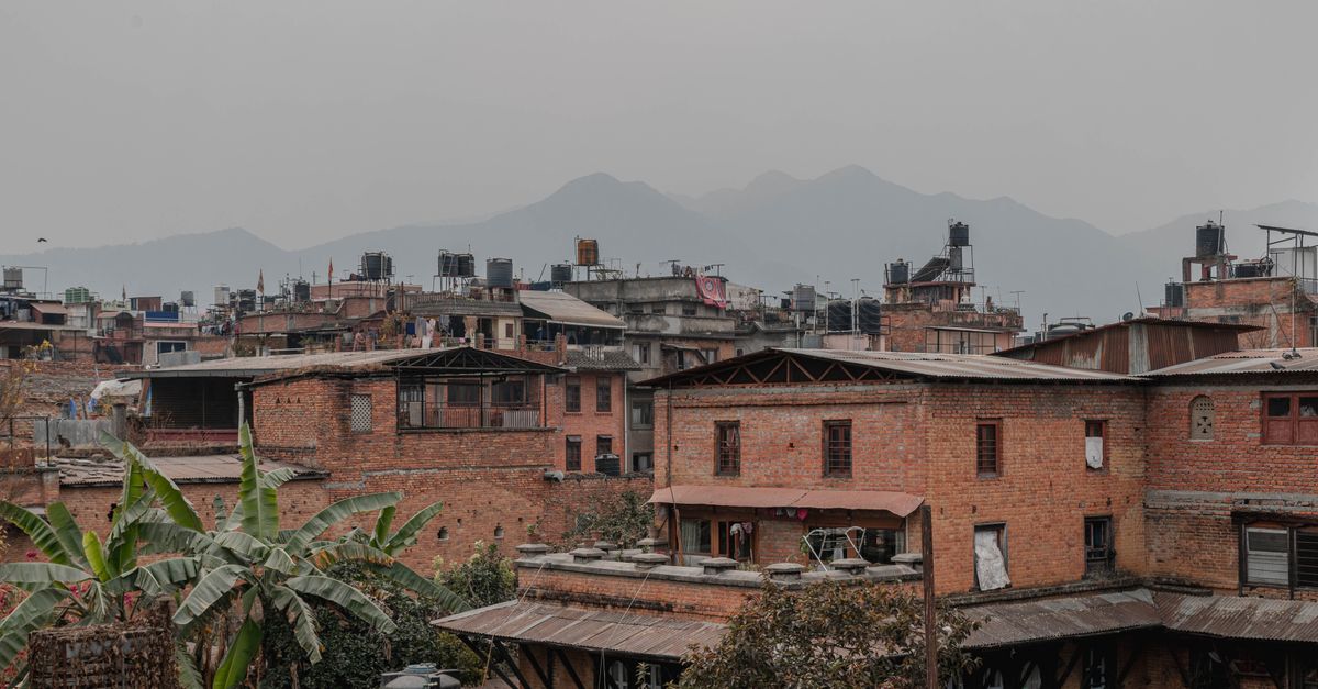 Nepal Faces Rising Dengue Cases Amid World Mosquito Day Observance