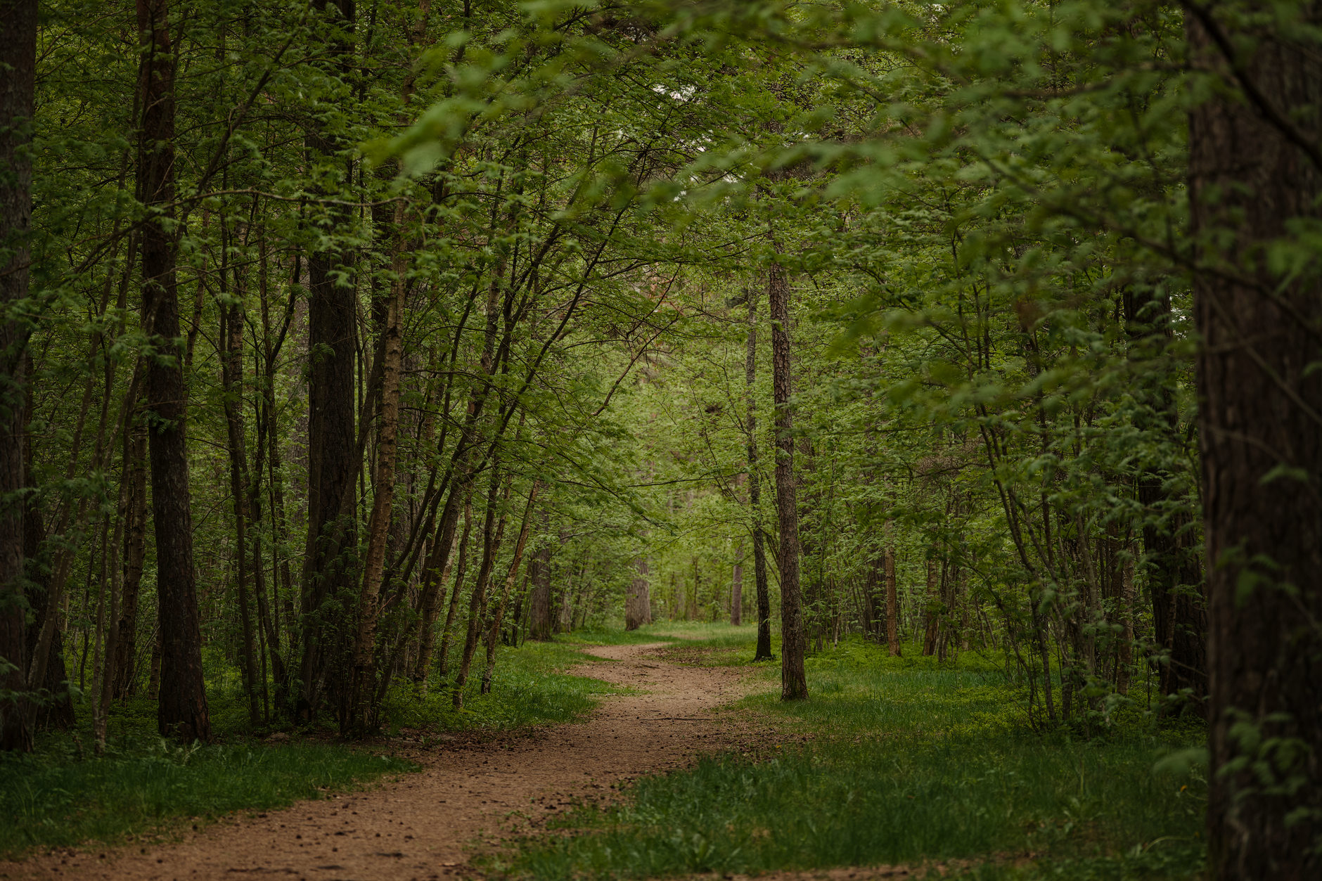 Parc nature Bois-Robert