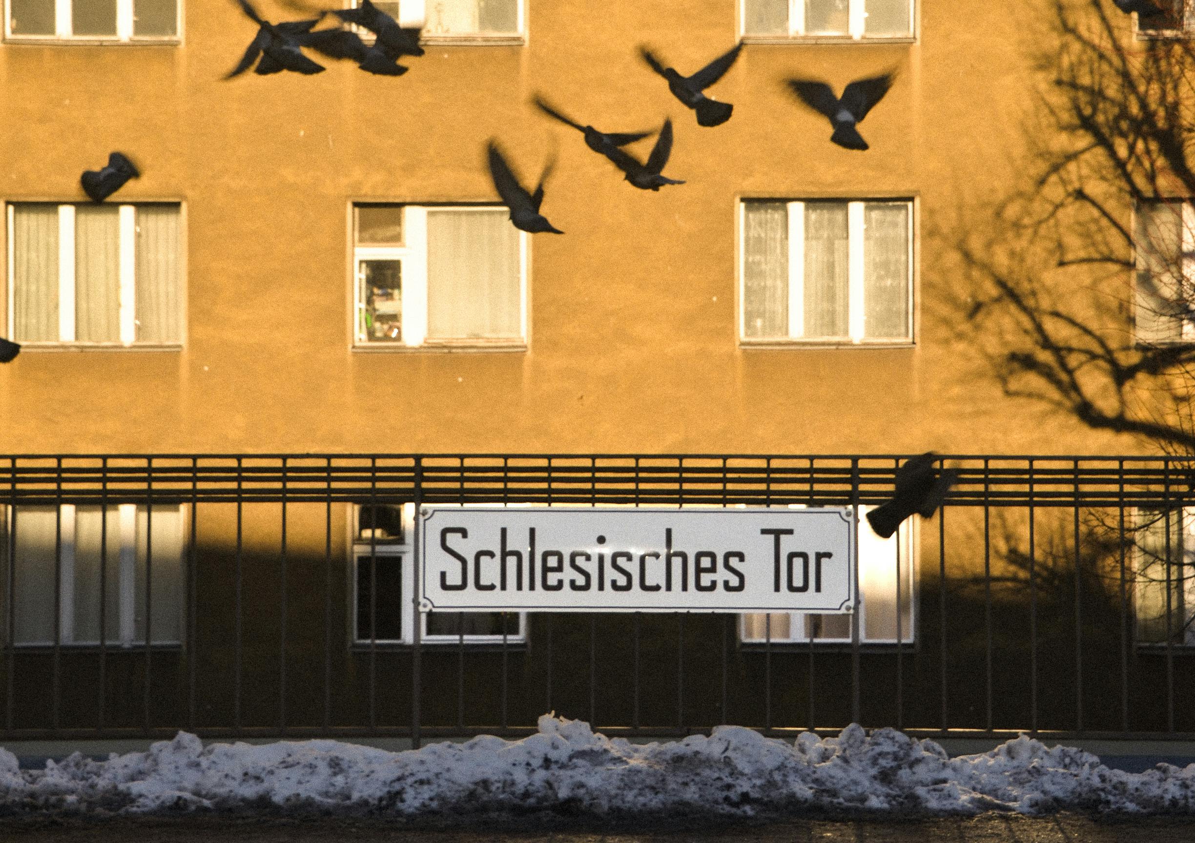 Morris Schröter