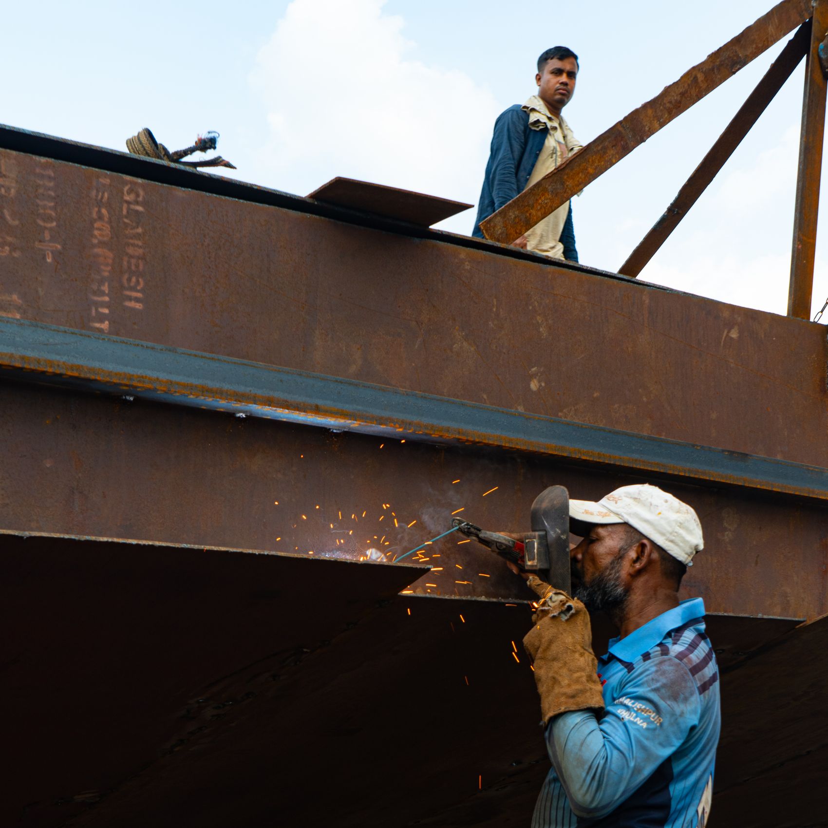 M5 Plant project photography