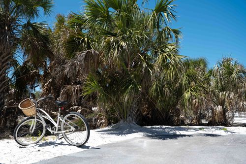 Free A white bicycle with a wicker basket rests on a tropical pathway among palm trees under a clear blue sky. Stock Photo