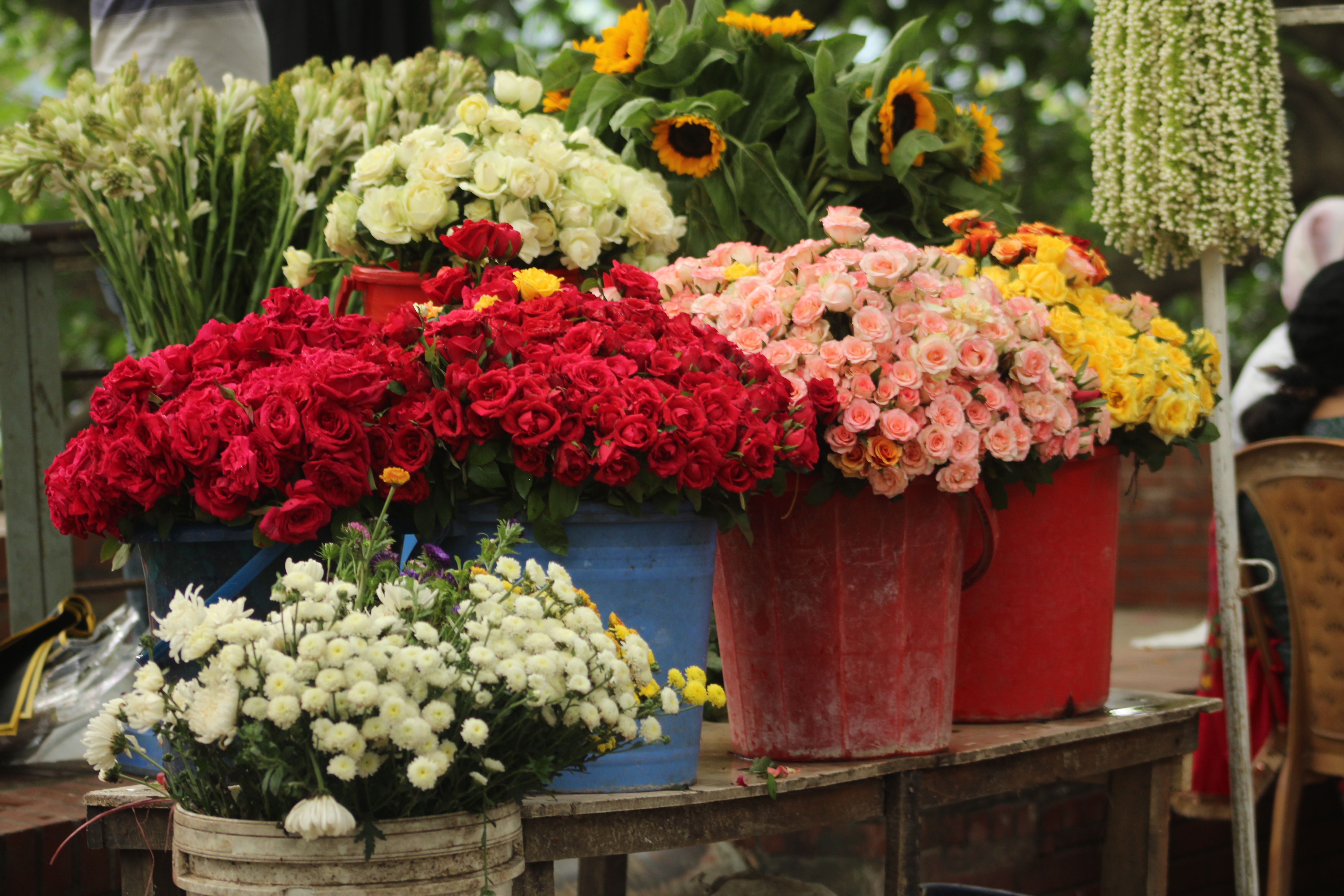 Flower delivery in Waco, TX