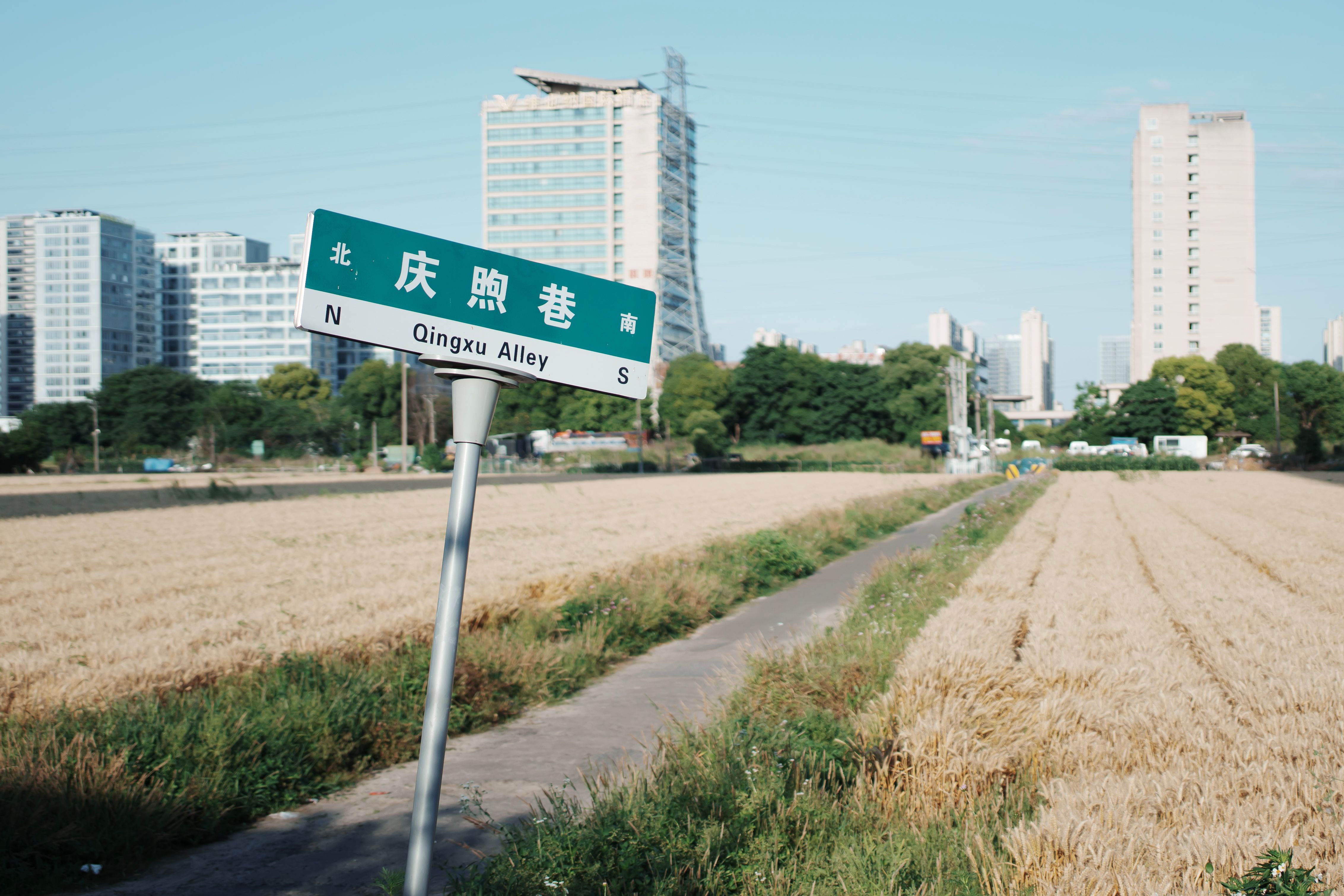 A sign for Qingxu Alley stands in a wheat field with urban buildings in the background.