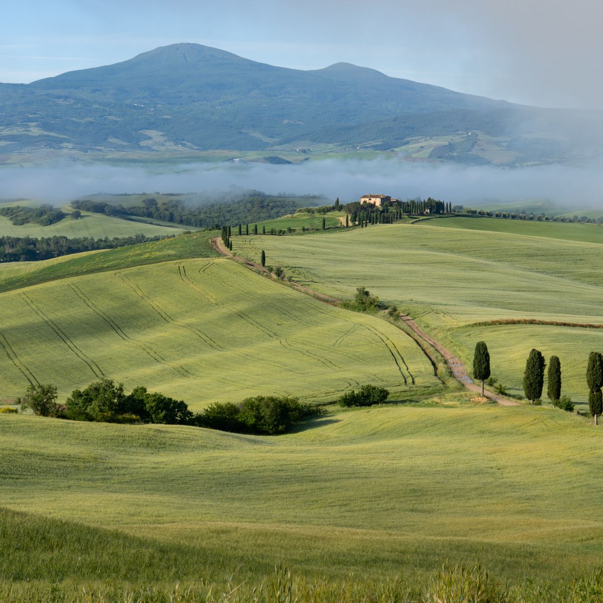 Dealuri ondulate și chiparoși în San Quirico d'Orcia, peisajul clasic din Val d'Orcia, Toscana