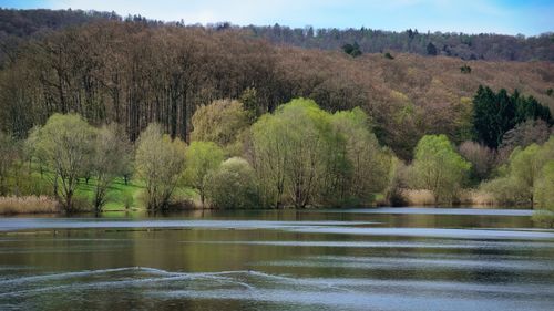Free Peaceful lake and forest scene in Zaberfeld, highlighting spring's lush greenery. Stock Photo