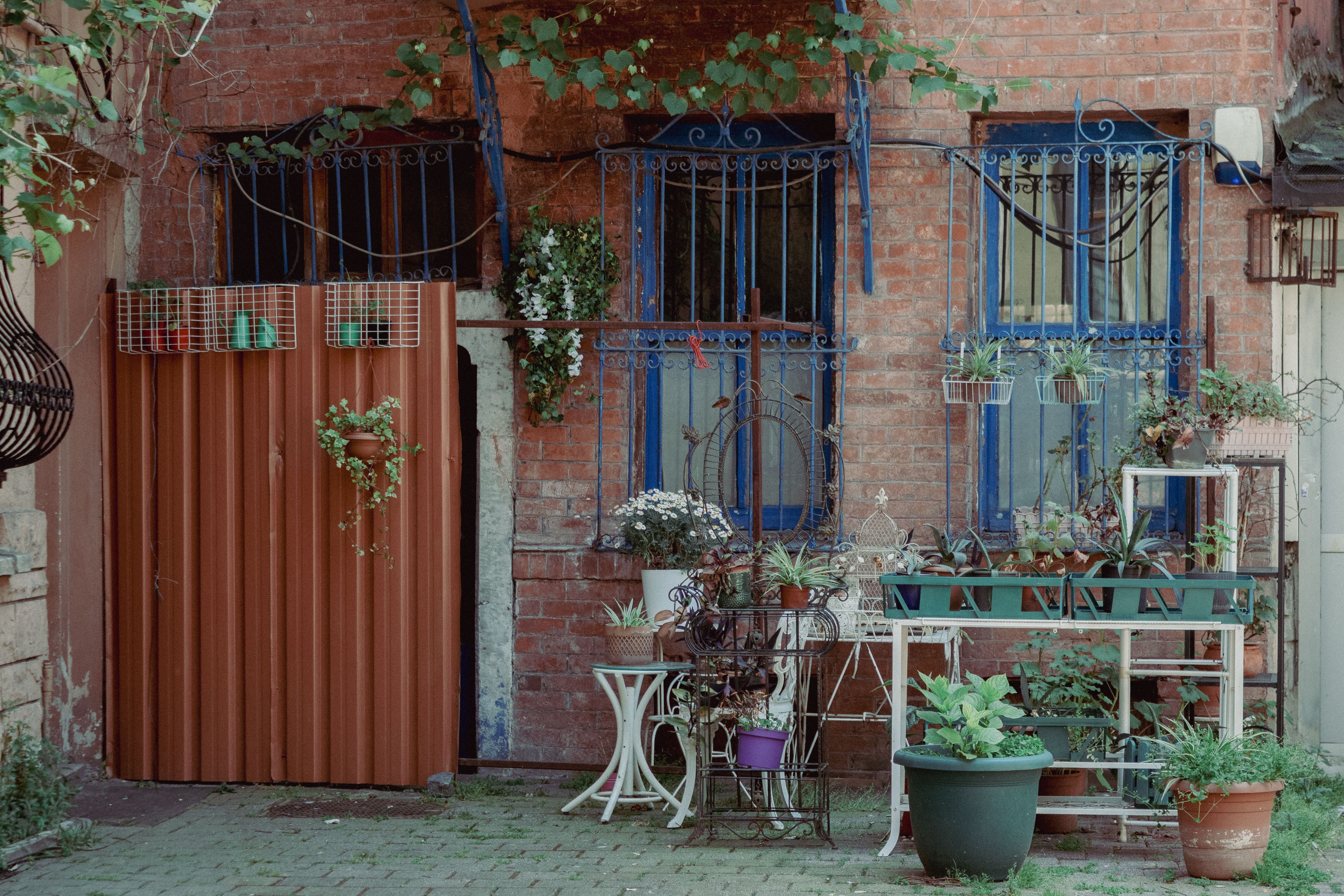Petit jardin maison harmonieux : l'art secret d'un intérieur qui respire la sérénité