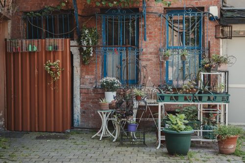 Free An urban garden setup featuring various plants against a rustic brick wall with blue window frames. Stock Photo