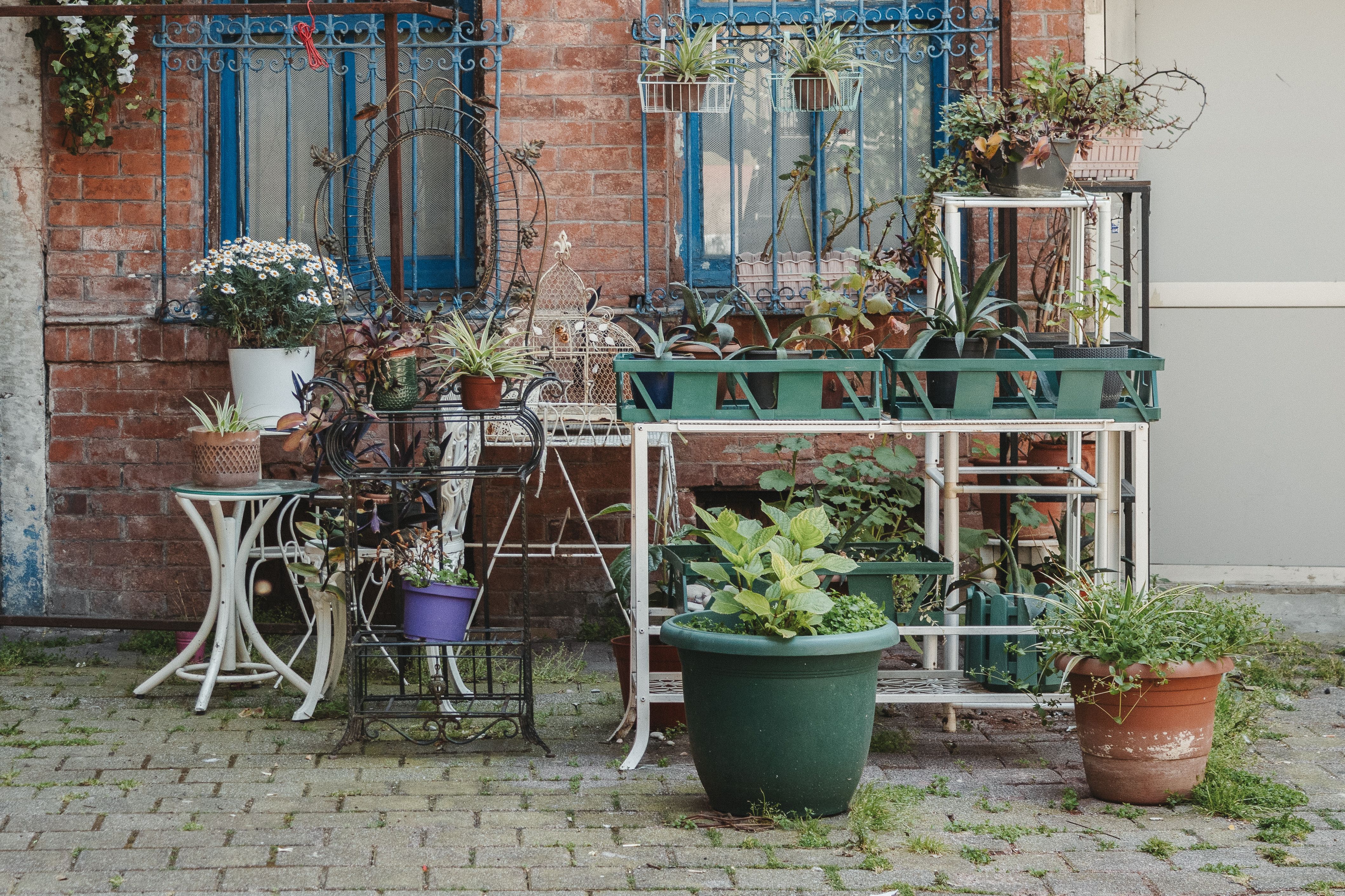 A quaint urban garden with various potted plants against an old brick wall.