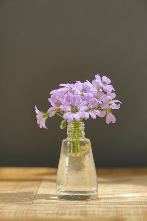 Free Delicate purple wildflowers arranged beautifully in a clear glass vase on a wooden table. Stock Photo