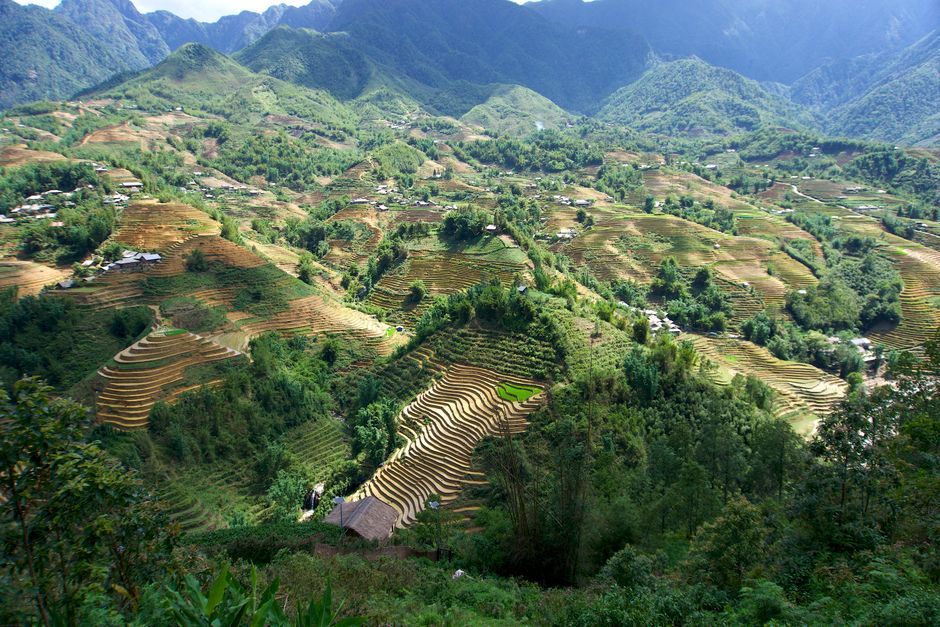 Rijstterrassen bij Sapa in Noord-Vietnam