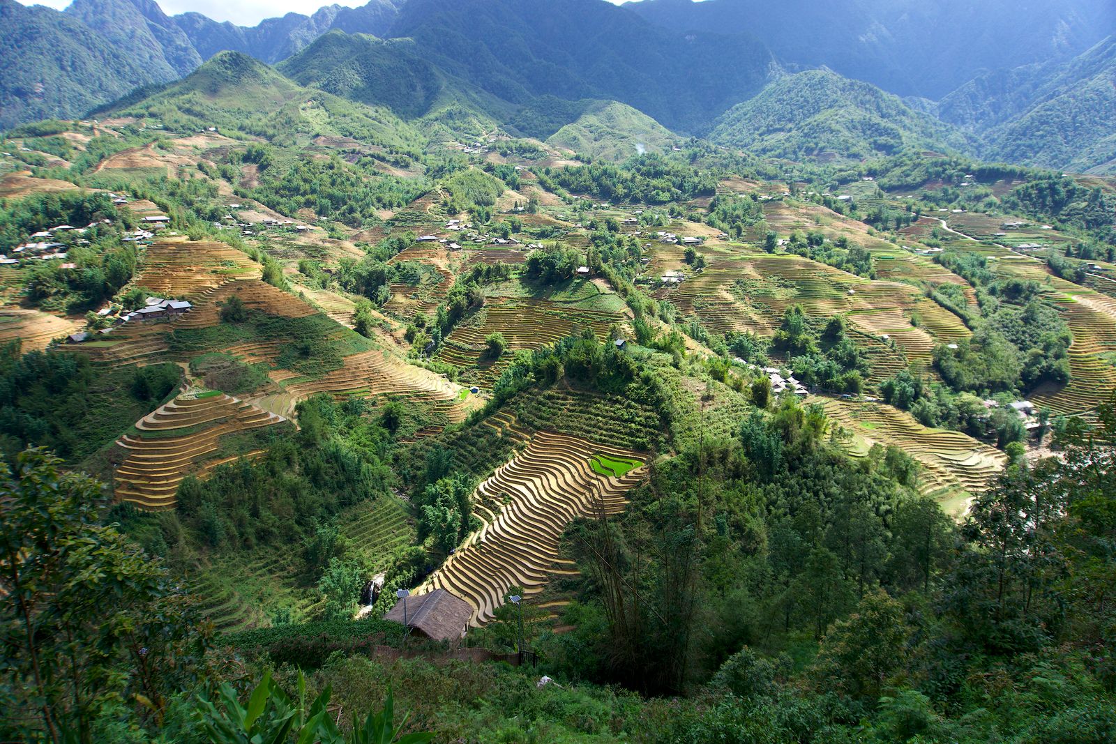 Sa Pa valley terraces