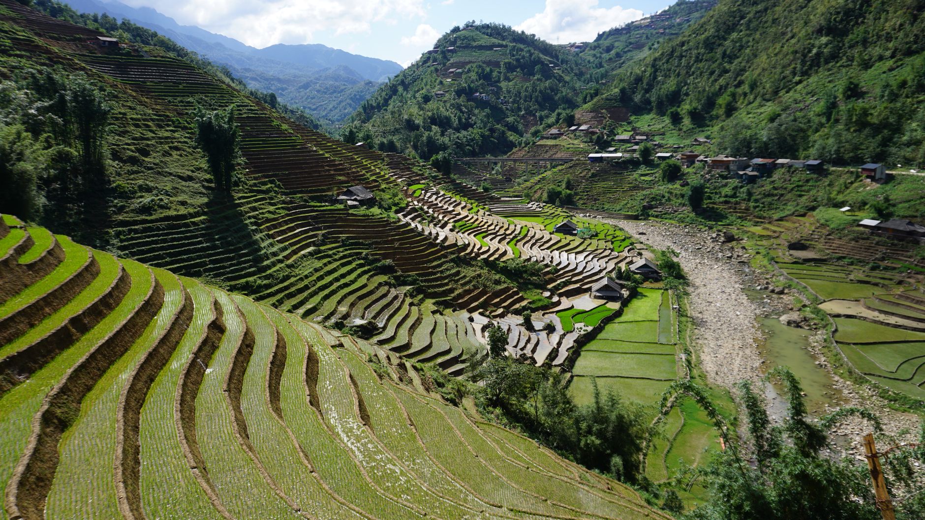 Explore the breathtaking rice terraces of Sa Pa, Vietnam, showcasing sustainable farming. — photo by Duong Nguyen / Pexels