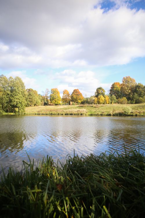 Free Tranquil autumn scene featuring a calm lake surrounded by colorful foliage under a partly cloudy sky. Stock Photo