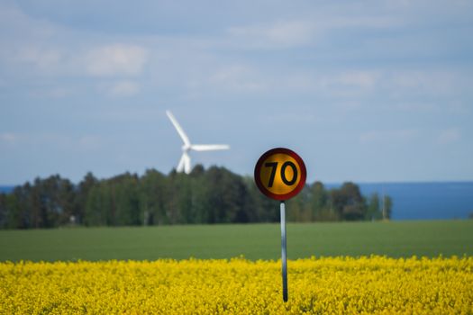 A vibrant scene of a wind turbine and 70 speed limit sign amidst yellow fields in Visingsö, Sweden.