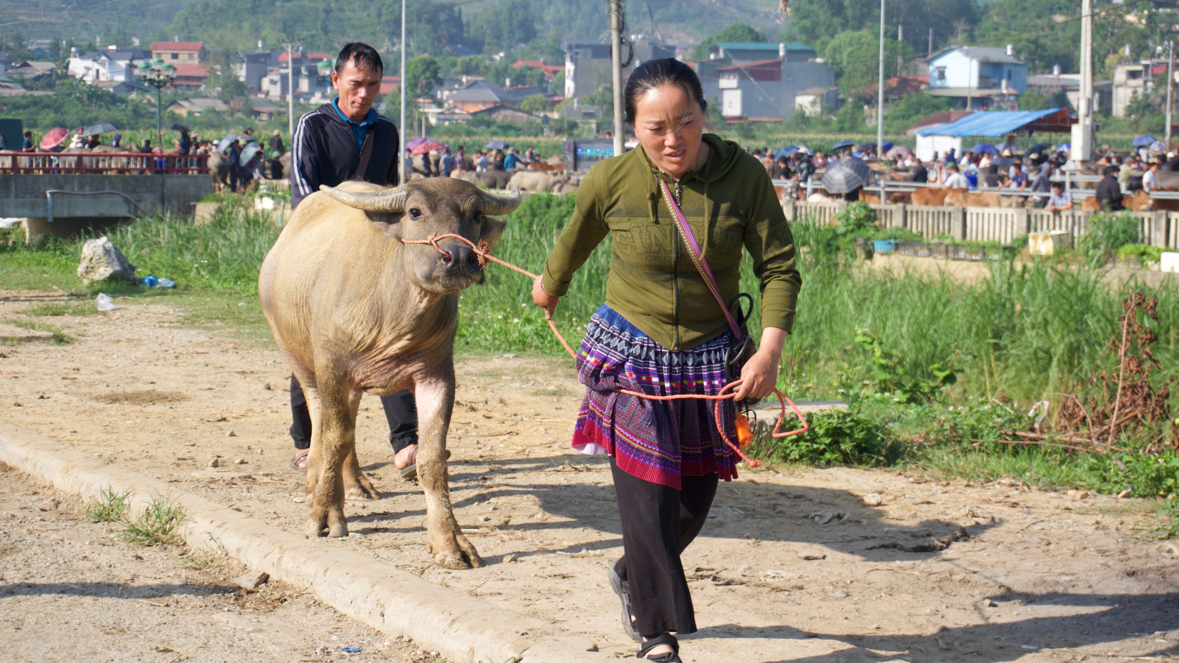 A vibrant scene of local life at Bac Ha livestock market in northern Vietnam.