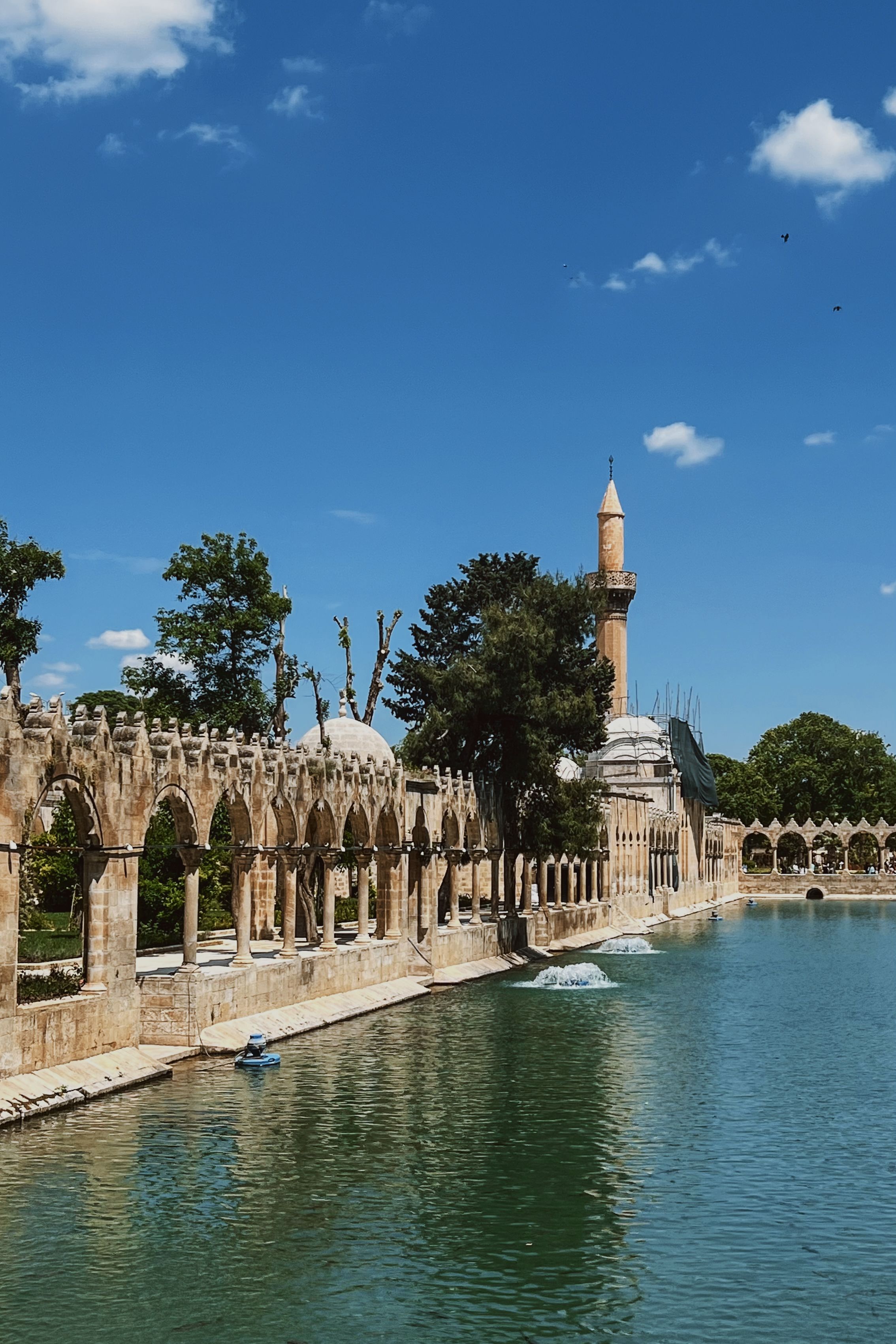 A serene view of the Pool of Abraham with a mosque in Şanlıurfa, Turkey, on a sunny day.