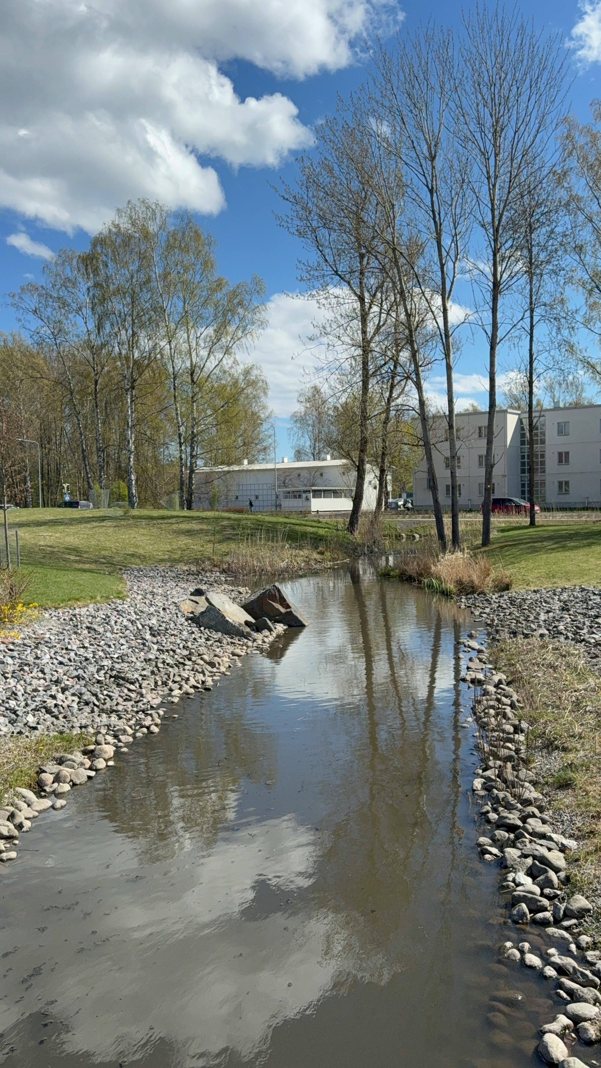 Peaceful urban stream surrounded by trees and residential buildings under a clear blue sky.