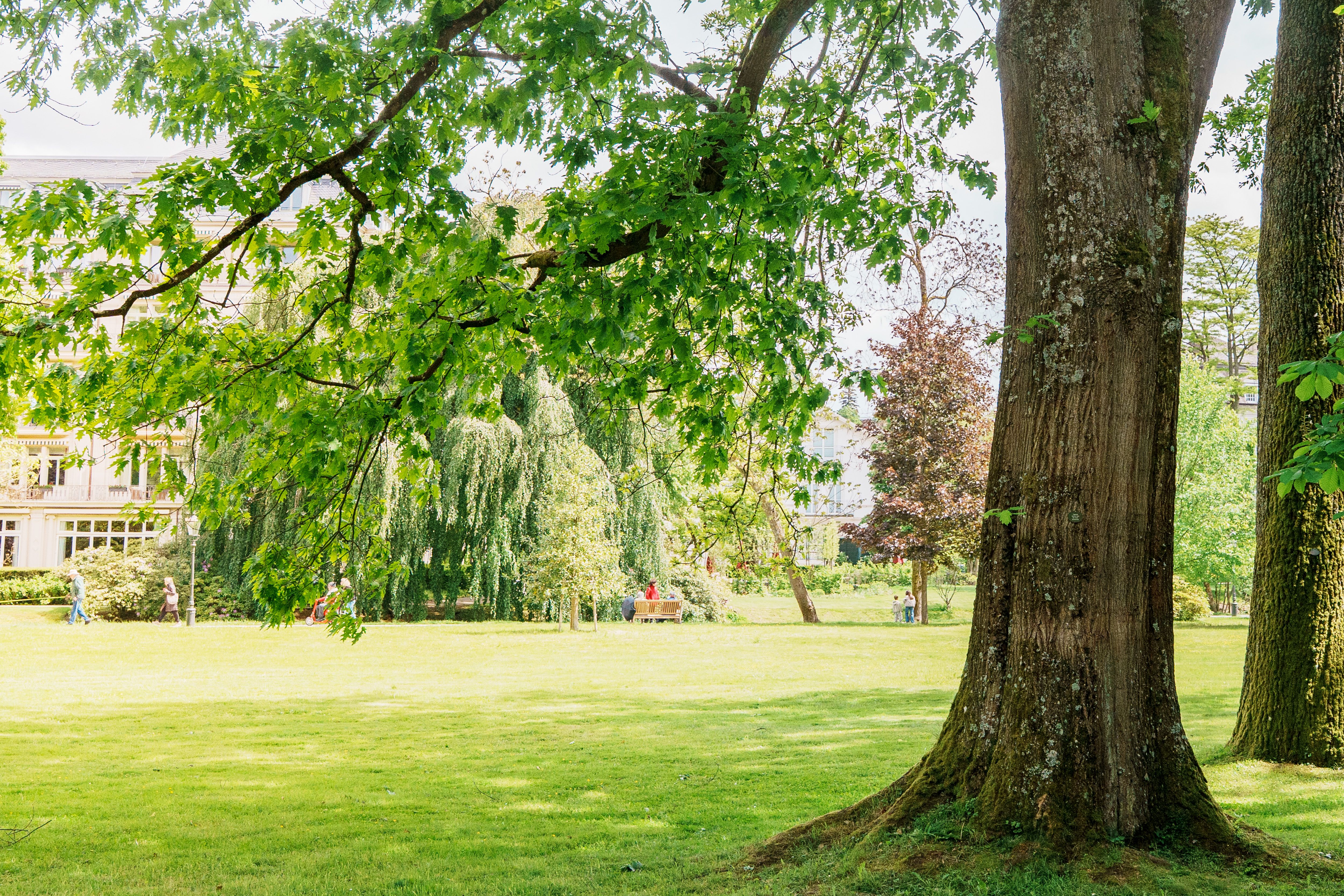 Gartenberatung vor Ort