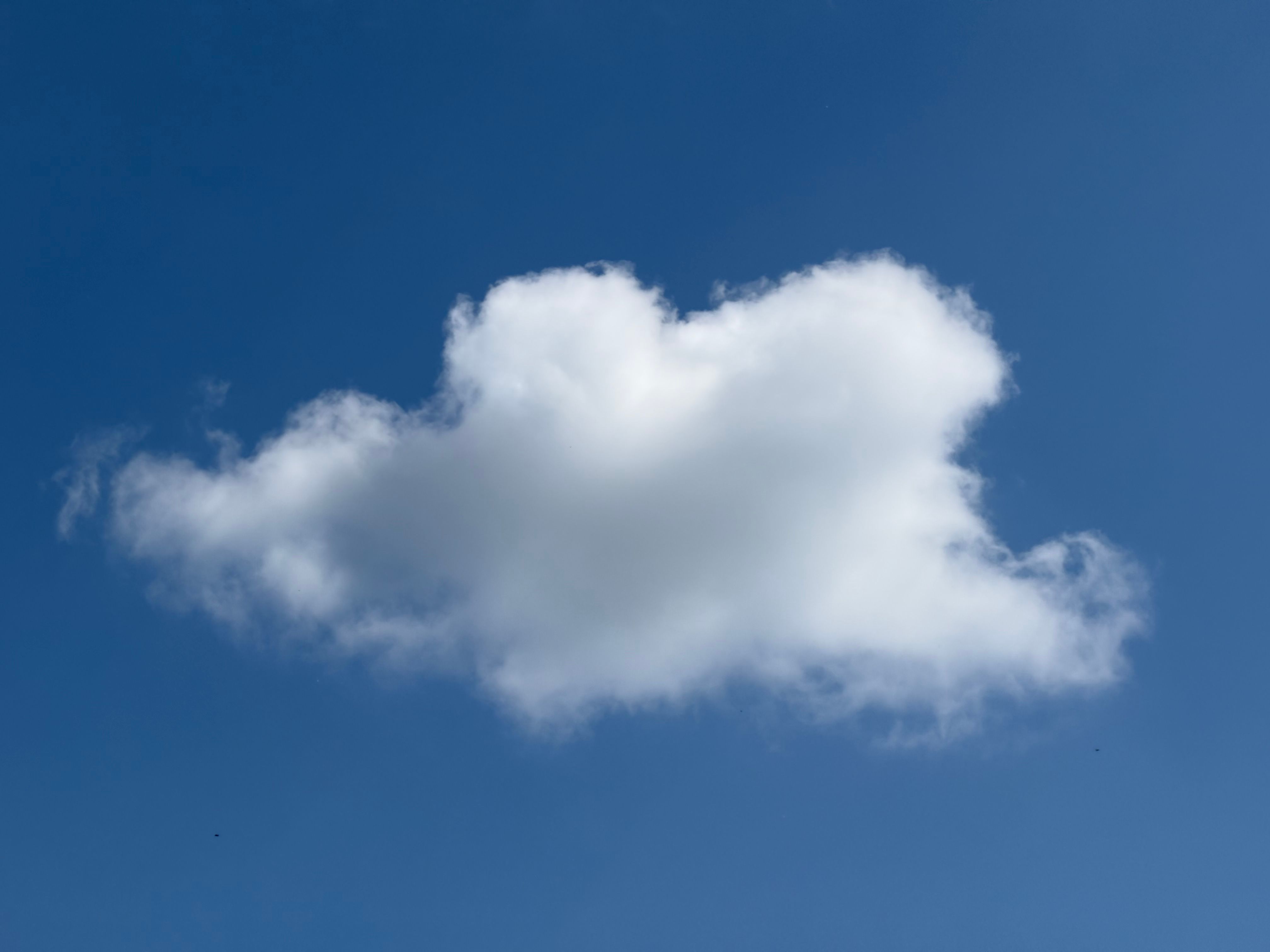 Fluffy Cumulus Cloud in Blue Sky · Free Stock Photo