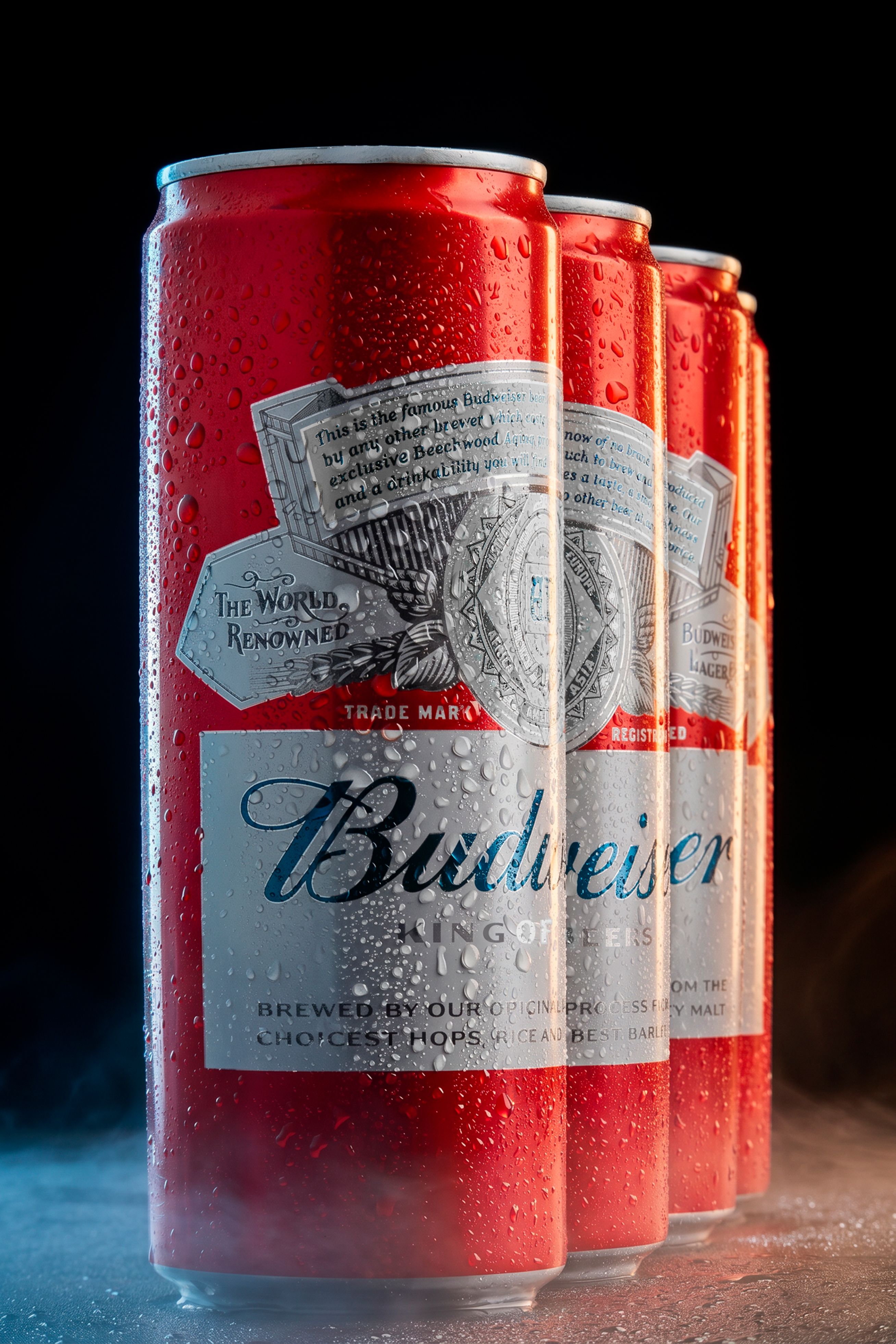 Cerveja Lata (350ml)