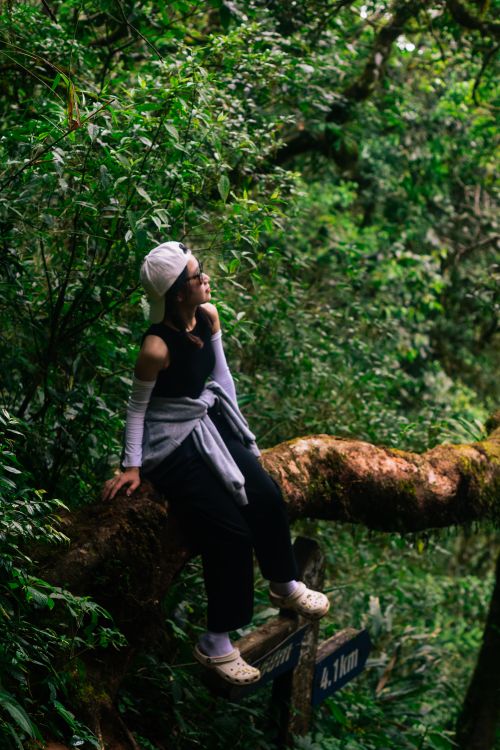 Free Woman in Da Lat, Vietnam sits on tree amidst lush forest, enjoying nature. Stock Photo