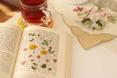 Free A warm setting with an open book and a cup of tea, ideal for relaxation. Stock Photo