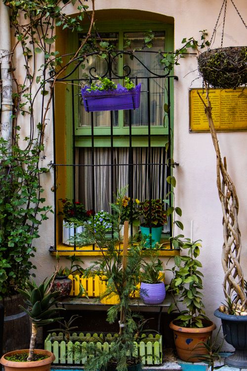 Free A colorful urban garden with various potted plants on a vintage building facade, highlighting rustic charm. Stock Photo