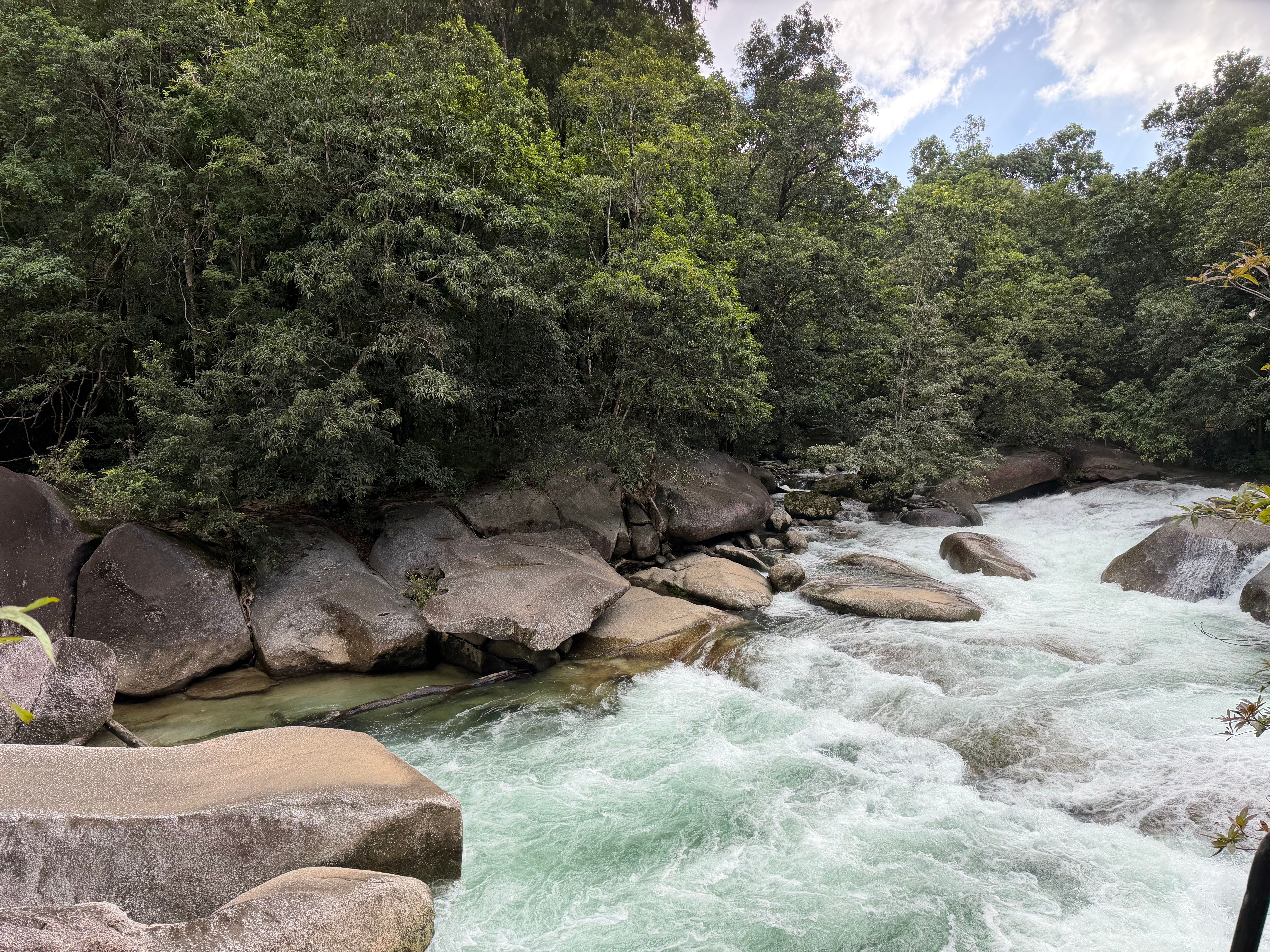 Serene forest stream flows over rocks in lush tropical setting, ideal for nature and tranquility themes.