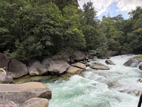 Daintree rainforest day trip — Great Barrier Reef