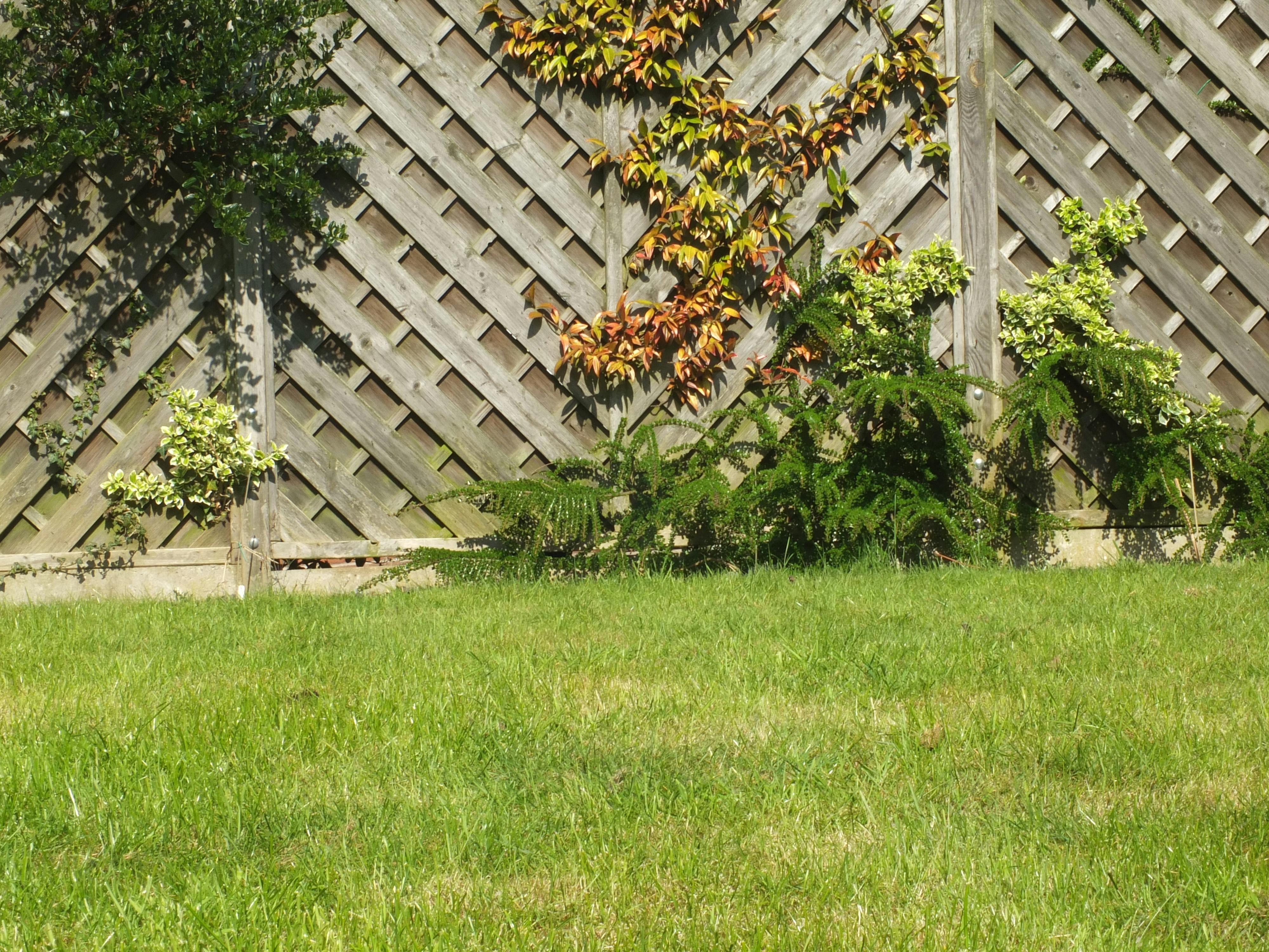 Hamilelik ve Emzirme Döneminde Sağlıklı Beslenme: Anne ve Bebek İçin İdeal Diyet Rehberi