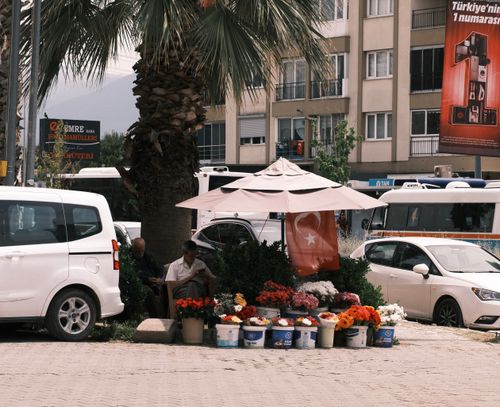 Free A vibrant flower stall under a palm tree in İzmir, Türkiye, with a Turkish flag and colorful blooms. Stock Photo