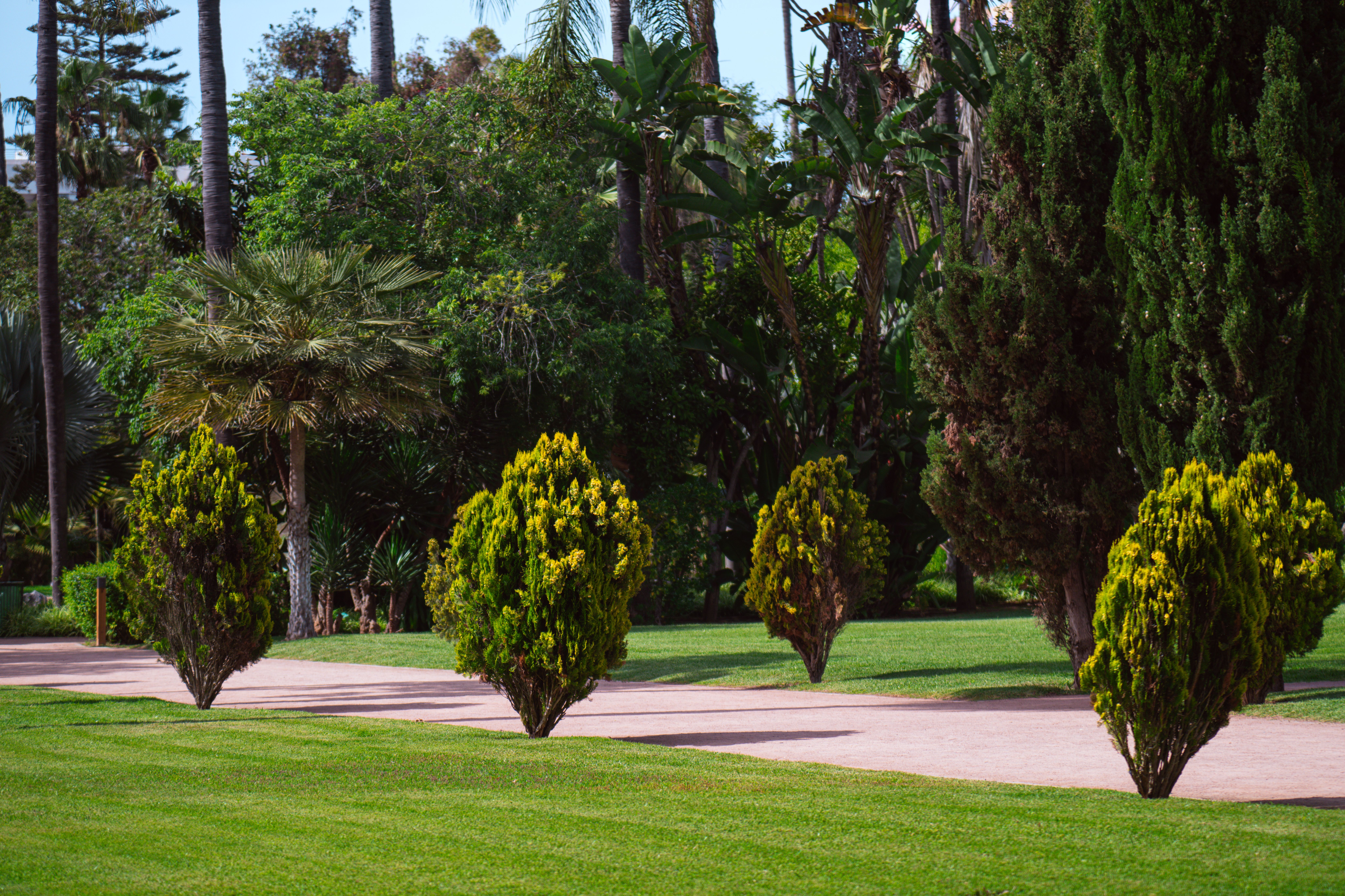 Beautifully maintained garden landscape