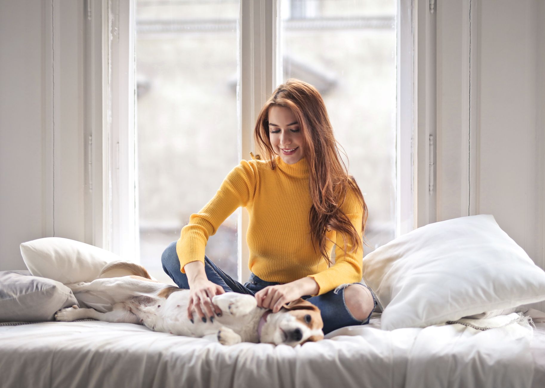 Smiling woman in yellow sweater petting her dog on a sunny bed by a window — overnight pet sitting in your home